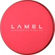 Румяна для лица Lamel Professional Flamy Fever Blush №402 7 г (0810140291189) - изображение 2