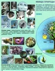 Атлас. Я исследую мир. Естествознание. 1-2 класс - изображение 4