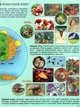 Атлас. Я исследую мир. Естествознание. 1-2 класс - изображение 5