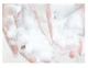 Пінка для вмивання Jomtam Amino Acid Clear and Soft Facial Cleanser з амінокислотами, 100 мл - зображення 5