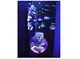 Светодиодная гирлянда внутренняя Xmas M-1 Copper curtain ball lamp 7257 Санта 10 шаров разноцветная - изображение 2