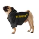 Дощовик для собак Noble Pet Moss Bravery M-Short - зображення 1