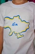 Дитяча літня футболка з принтом Носи своє 158 Білий (p-10606-152634) - зображення 7