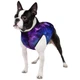 Курточка для собак Collar WAUDOG Nasa21 XS-22 - зображення 1