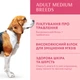Optimeal Adult Dogs Medium - сухий корм з індичкою для доросих собак середніх порід, 4 кг - изображение 3
