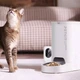 Смарт кормушка для котов и собак, камера, аудиосвязь, PETKIT Yumshare Solo With Camera Smart Pet Feeder 3л - изображение 4