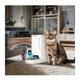 Смарт кормушка для котов и собак, камера, аудиосвязь, PETKIT Yumshare Solo With Camera Smart Pet Feeder 3л - изображение 3