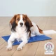 Килимок охолоджуючий для собак і котів Trixie Cooling Pad, 40 см х 30 см - зображення 2
