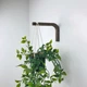 Крючок для растений настенный Орех 10*15 см - изображение 1