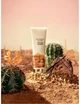 Парфюмированный лосьон для тела Solar Sands от Victoria's Secret, 236 мл - изображение 2