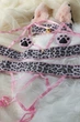 Трусики с открытым доступом Obsessive 42/44(S/M) Микс (103523) - изображение 8