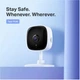 IP-камера відеоспостереження TP-Link Tapo TC60 - изображение 2