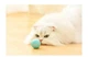 Игрушка для кошек Stress Cat / Шарик с силовой гравитацией LY-599 - изображение 5