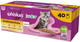 Вологий корм для котів Whiskas Gal Junior Птиця 40 х 85 г (4008429164781) - зображення 1