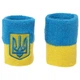 Напульсник махровый Украина (1шт) SP-Planeta BC-4063 (хлопок, полиэстер, безразмерный, желтый-голубой) (BC-4063_Желтый-голубой) - изображение 2
