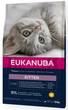 Sucha karma dla kota Eukanuba Kitten Kocięta Kurczak 10 kg (8710255121673) - obraz 1