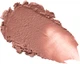 Увлажняющая помада-бальзам LN PRO Passion Glaze №110 3 г (0810149041969) - изображение 4