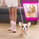 Інтерактивна іграшка FurReal серії «Poop-A-Lots» Коргі (28057) - зображення 4