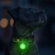 Фонарик для собак и кошек WAUDOG LED в силиконовом чехле, светящийся USB диаметр 37 мм (8882Collar) - изображение 5