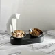 Годівниця для котів PETKIT Fresh Nano Metal 15° Adjustable Cat Feeding Bowl 2 чаші Black (P5201) - зображення 5