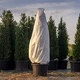 Агроволокно Р30 3.2м х 10м Greentex покрывное Белое - изображение 13