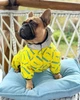 Комбинезон для собак WAUDOG Clothes, рисунок "Смелость", M35 (5436-0231) - изображение 2