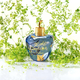 Парфумована вода для жінок Lolita Lempicka Le Parfum 100 мл (3760269840348) - зображення 5