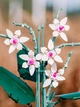 Конструктор великий 41 см Орхідея з п'ятьма бутонами 728 деталей Flowers Bouquet , конструктор для інтер'єру Орхідея в коробці 40х33см - зображення 3
