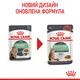 Консервований корм Royal Canin Digest Sensitive Care wet in gravy 85 г (4076001) - зображення 2