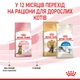Сухой корм Royal Canin Kitten Sterilised 2 кг (2562020) - изображение 9