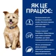 Hill's Prescription Diet k/d з ActivBiome+ Kidney Defense Сухий корм для собак для підтримання функції нирок, 12 кг - изображение 3