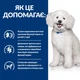 Hill’s PRESCRIPTION DIET k/d Early Stage з ActivBiome+ Kidney Defense Сухий корм для собак для підтримання функції нирок на ранній стадії захворювання, 1,5 кг - изображение 4