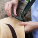 Держатель для шляпы с ремнем INCARNE Hat Strap Зеленый - изображение 3