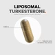Ліпосомальні капсули туркестерону Codeage Turkesterone 120 капсул - зображення 3