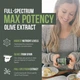 Екстракт листя оливи преміум-класу Triquetra Health STotal Olive 60 капсул - зображення 2