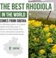 Сибірська родіола преміум-класу Triquetra Health Siberian Rhodiola 60 капсул - зображення 5