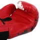 Перчатки боксерские на липучке Mike Tyson SP-Sport 8448 размер 14 унций Red-Black - изображение 5