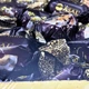 Цукерки молочний грильяж з горіхами в шоколадній глазурі 1 кг в коробці Асал (Asal-Grill-Milk-1000) - зображення 12