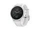 Cмарт-часи Garmin Fenix ​​6S Silver/White (010-02159-00) - зображення 1