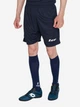 Спортивные шорты мужские Zeus Short Mida Z01242 L Синие (8051565136415) - изображение 3