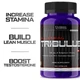 Трибулус Ultimate Nutrition Bulgarian Tribulus 750 mg 90 caps - изображение 3
