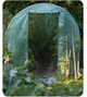Cадовая теплица парник Plonos 6m2 2x3м Польша JDT-0845244 - изображение 5