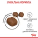 Сухой корм Royal Canin Dental Care для предотвращения зубного налета у кошек 400 г (25320040) - изображение 6