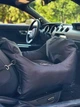 Автокресло автогамак лежак сумка-переноска для собак и кошек 50х70 см Incor Черный (И-115) - изображение 3