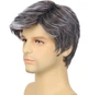 Парик мужской короткий пепельный, термоволокно DC Gray - изображение 4