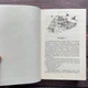 Світло у пломені. Плоть і вогонь. Книга 2. Арментраут Дж. - зображення 4