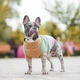 Светр для собак Pet Fashion Rich XS такса - изображение 2