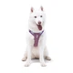 Шлея для собак Alpha 360 Woolly Wolf Mauve Mix S - зображення 4