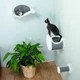 Гамак настенный для котов Trixie, 54 см х 28 см х 33 см - изображение 4