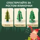 Магічна Ялинка Набір для Вирощування Чарівного Новорічного Дерева з кристалів, науковий експеримент для дітей та дорослих - зображення 3